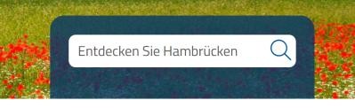 Suchfeld mit Aufschrift "Entdecken Sie Hambrücken" und Suchlupe 